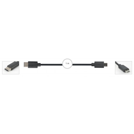 Cable 7973-C